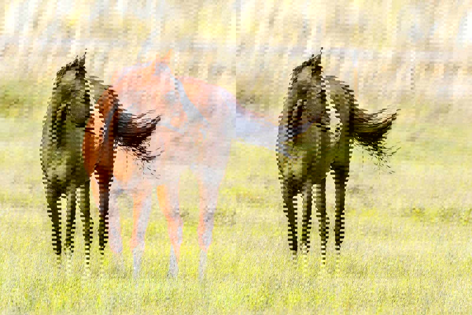 Tidsbegrenset rabatt på å registrere eldre quarter