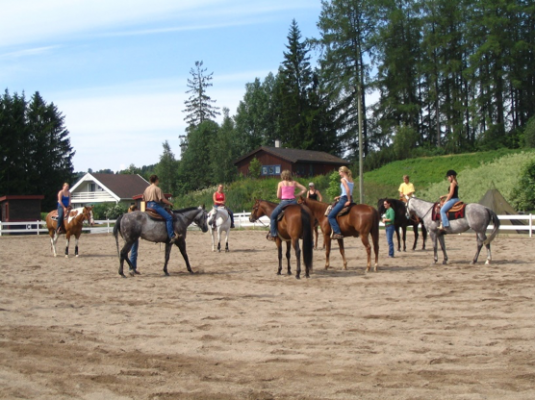 Artikkelbilde til artikkelen AQHA Horseback Riding Program