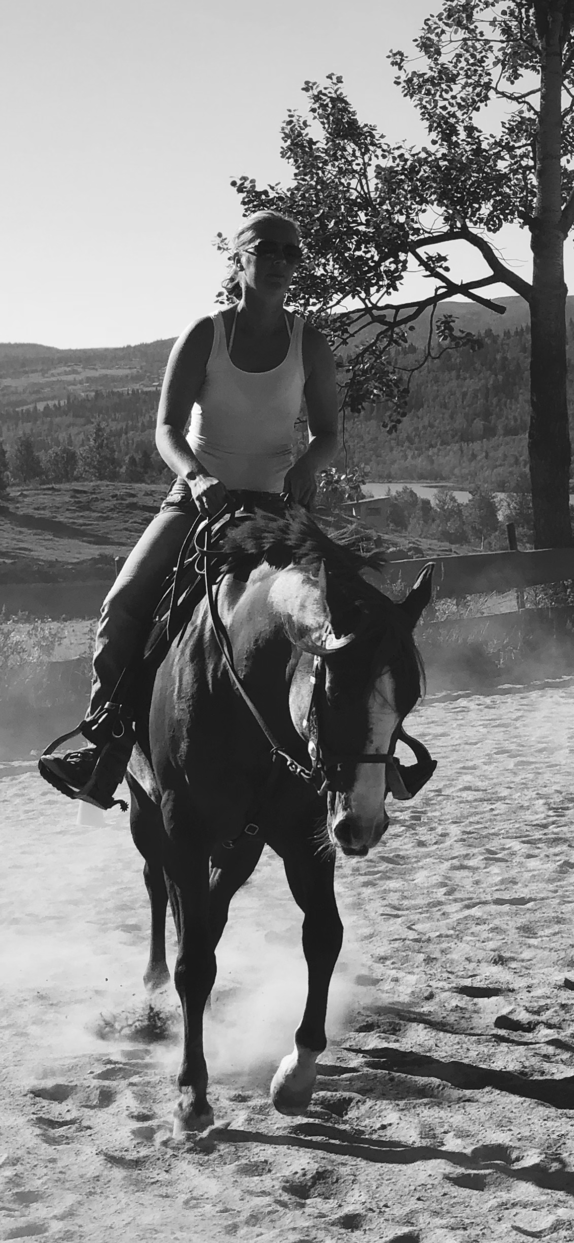 AQHA Professional Horseman