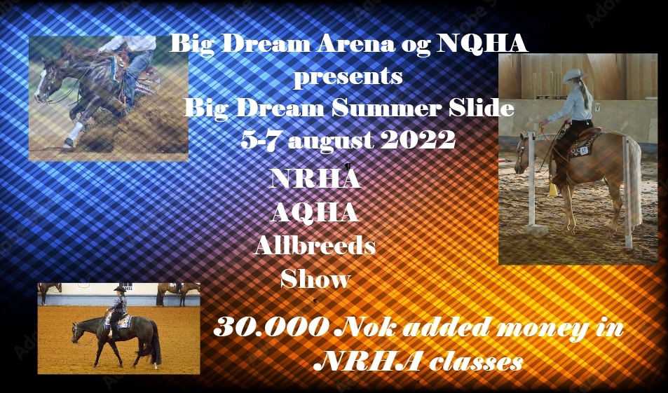 Big Dream Summer Slide