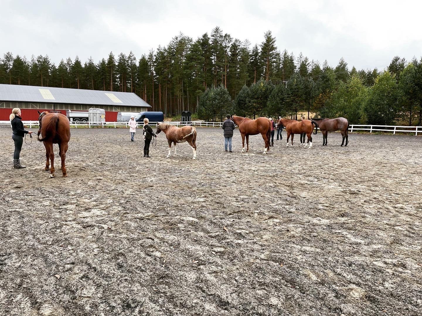 Invitasjon til møte for ungdomsryttere og foresatt